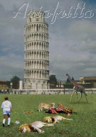 La torre è dritta ma c'è qualcos'altro di storto . . .