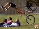 bici8pult.jpg