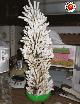 sigarette-colonna.jpg