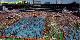 piscina.jpg