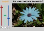 Di che colore lo vuoi?