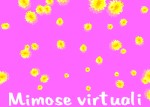 Mimose virtuali