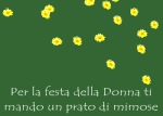 Un prato di mimose