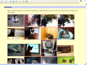 Una enorme collezione di fotografie di gatti. Gatti di tutti i tipi e in tutte le situazioni buffe o serie trovate sul web.