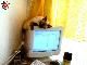 gatto-su-monitor.jpg