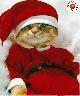 gatto-buonnatale.jpg