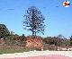 albero-quad.jpg