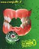 heineken.jpg