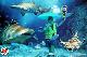 mare-traffico.jpg