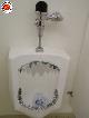 wc dentato.jpg